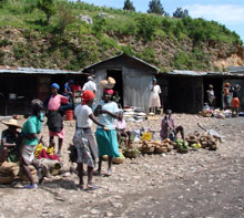 {85F87980-2481-449B-98CA-0B4A174AA1ED}_2007jul25_haitimat